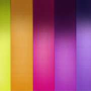 Husteades3